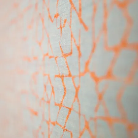 Ghibli Boutique تْشيفيتانوفا ماركي