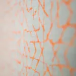 Ghibli Boutique Civitanova Marche